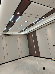 ceiling2