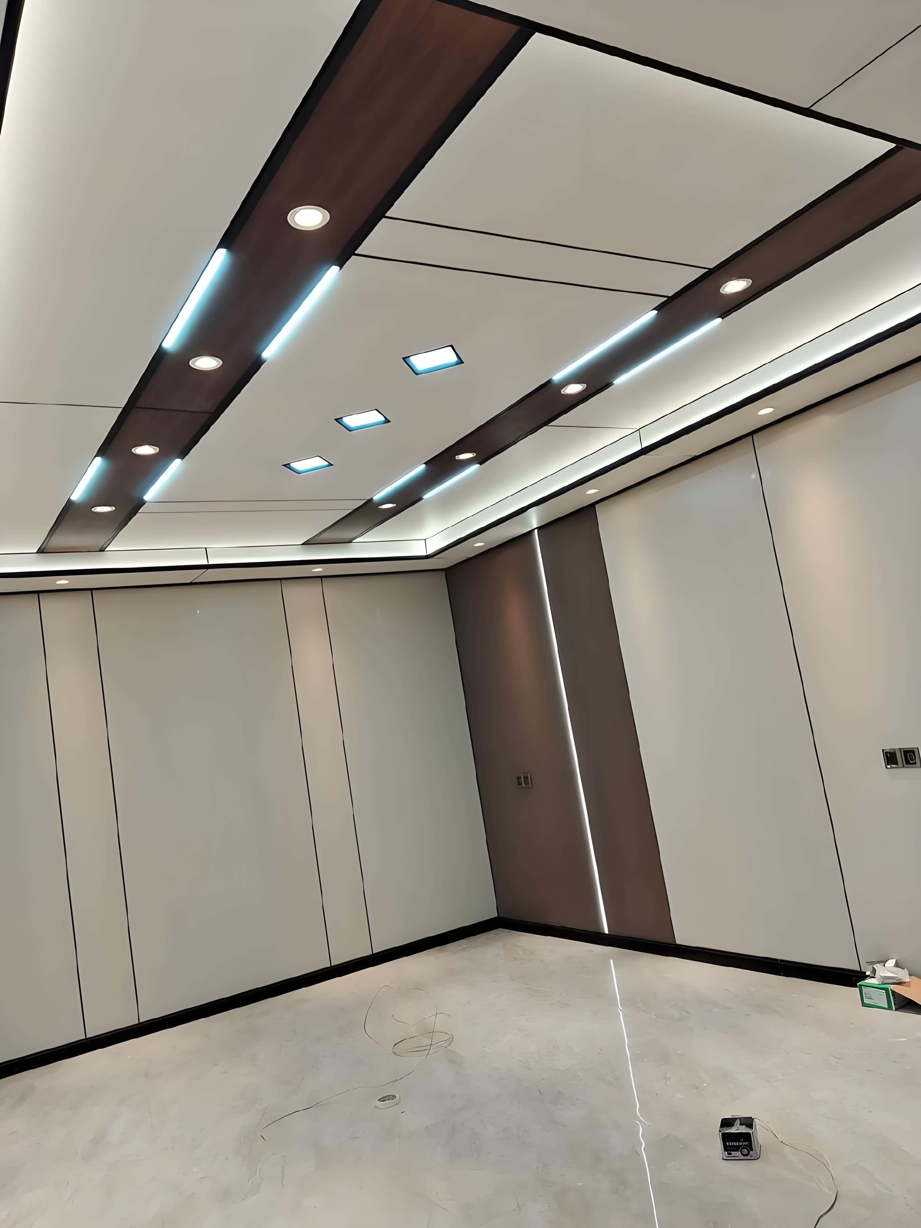 ceiling2