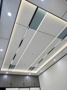 ceiling6