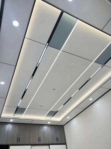 ceiling6